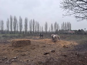 Photo 10- click for photo gallery